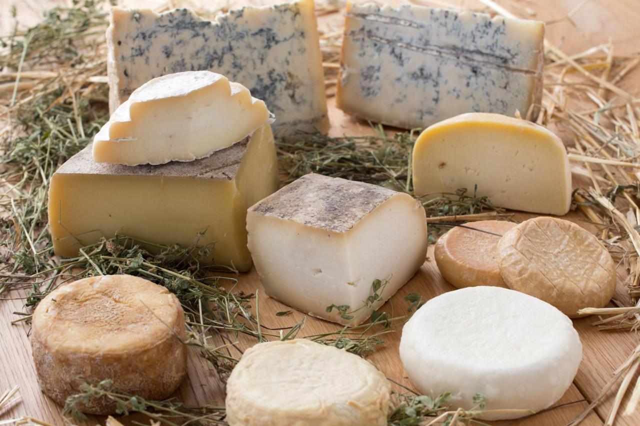 Cascina Marcantonio Акуи Терме Екстериор снимка