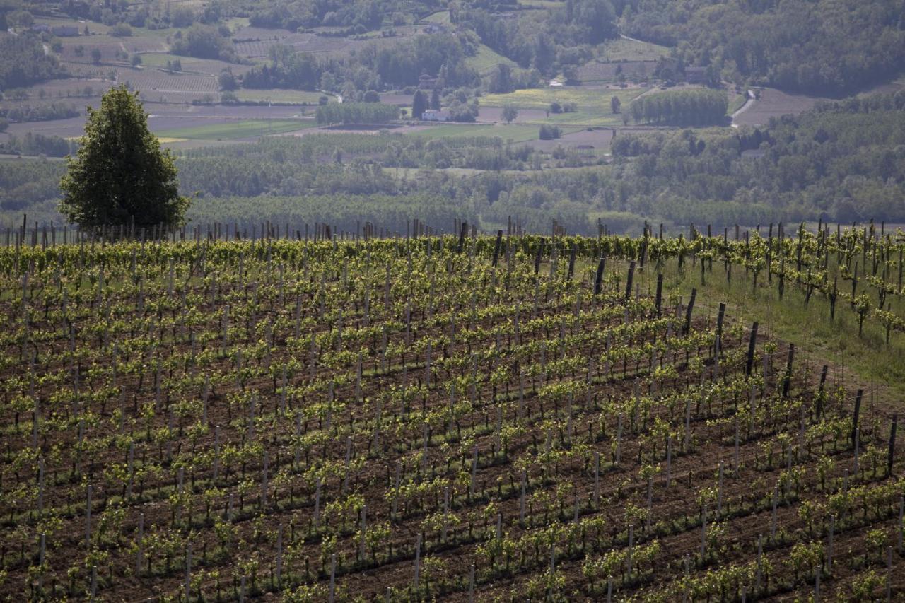 Cascina Marcantonio Акуи Терме Екстериор снимка