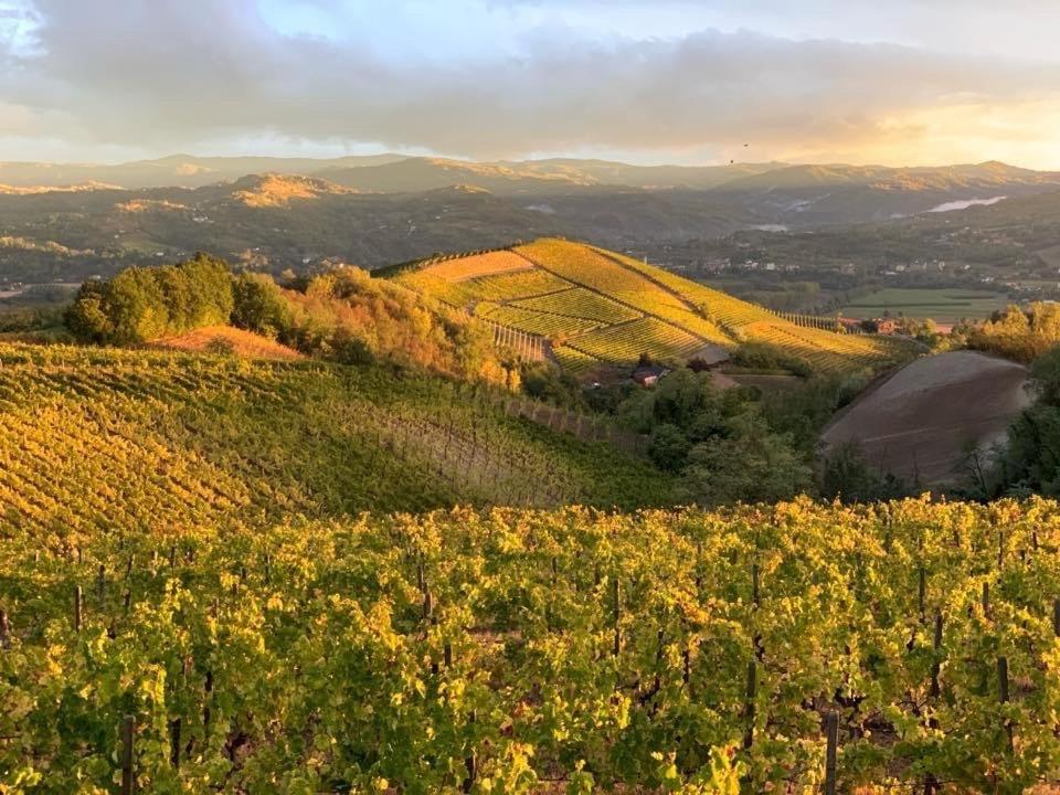 Cascina Marcantonio Акуи Терме Екстериор снимка